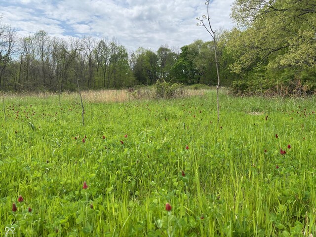 0 W County Road 350 S, Connersville, IN 47331 - photo 6