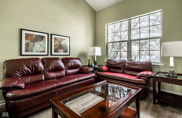 living room with hardwood / wood-style floors