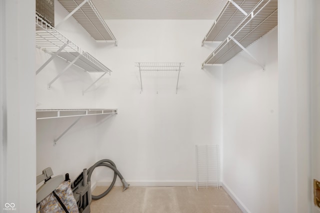 spacious closet featuring carpet floors