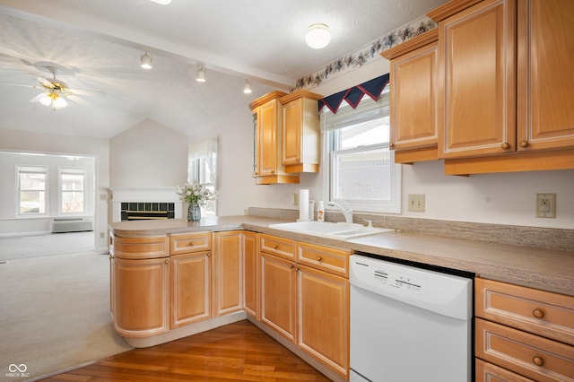 kitchen with dishwasher, vaulted ceiling, a tile fireplace, and plenty of natural light