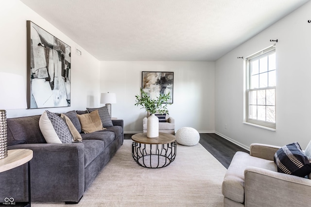 living room featuring hardwood / wood-style floors and a textured ceiling