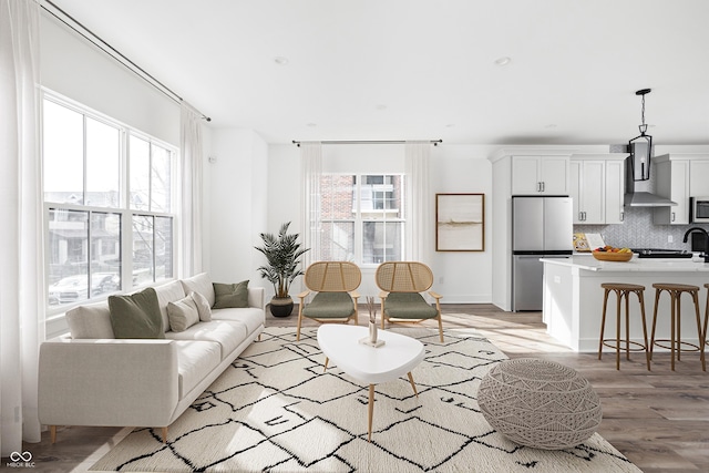 living room featuring light hardwood / wood-style flooring