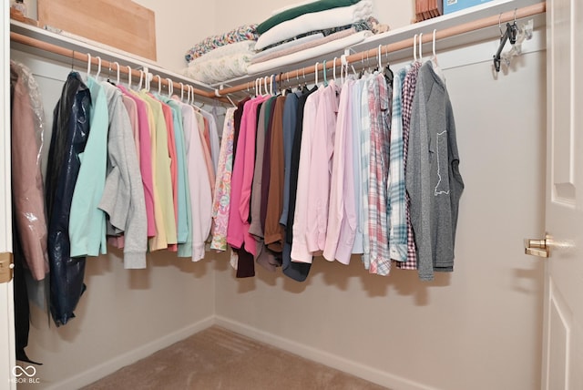 walk in closet featuring carpet flooring