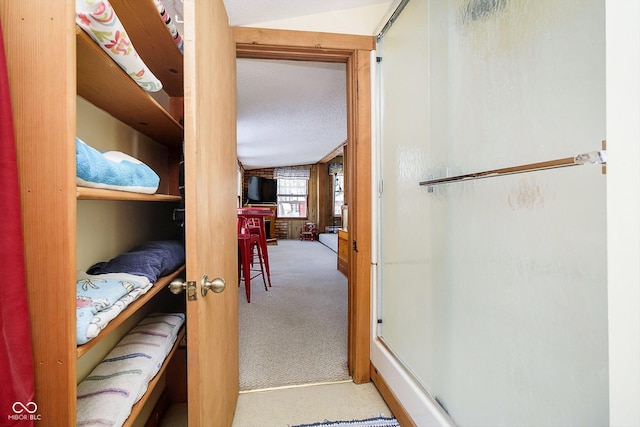 interior space featuring lofted ceiling and carpet