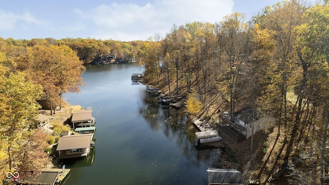 bird's eye view with a water view and a wooded view