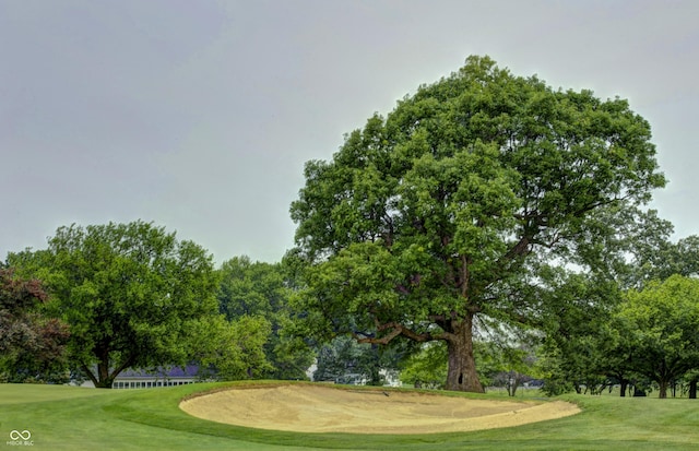 view of community featuring golf course view and a yard