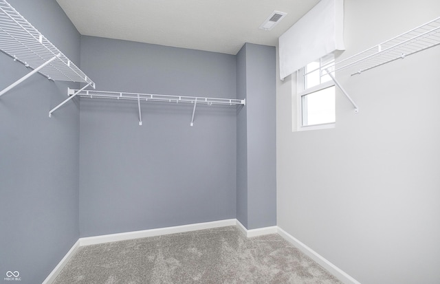 spacious closet with light carpet and visible vents