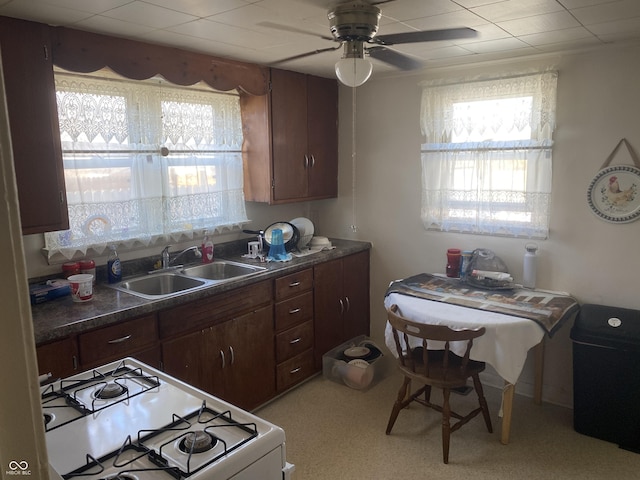 kitchen featuring light colored carpet, white gas range, sink, and dark brown cabinets