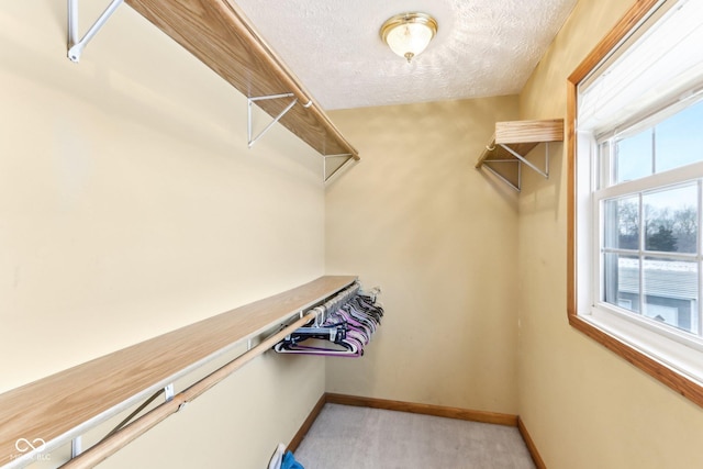 spacious closet with light carpet