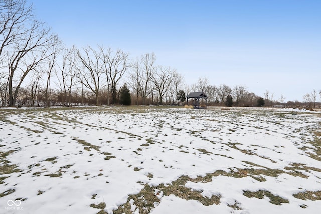 view of yard covered in snow