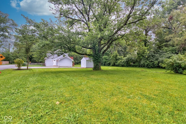 view of yard featuring a storage shed