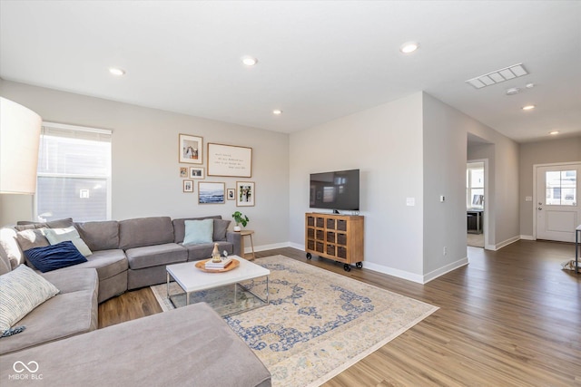 living room featuring wood-type flooring