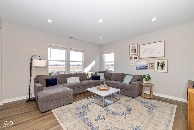 living room with hardwood / wood-style floors