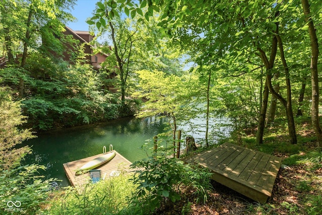 dock area featuring a water view