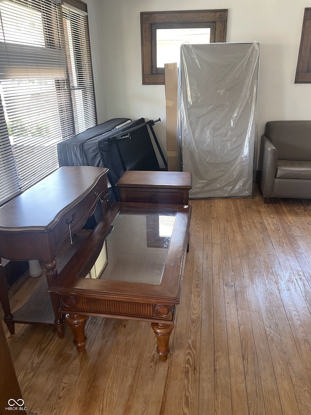 interior space featuring a wealth of natural light and light hardwood / wood-style flooring