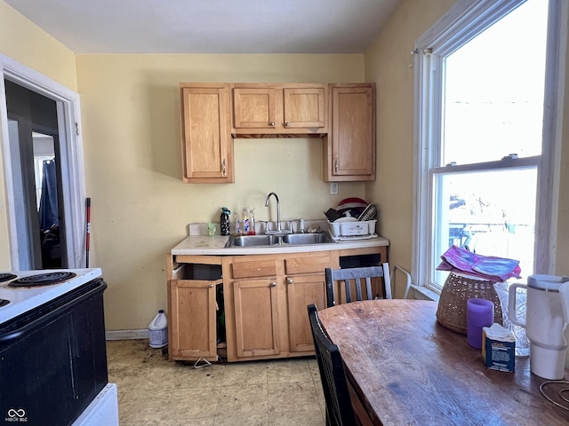 kitchen with electric stove and sink