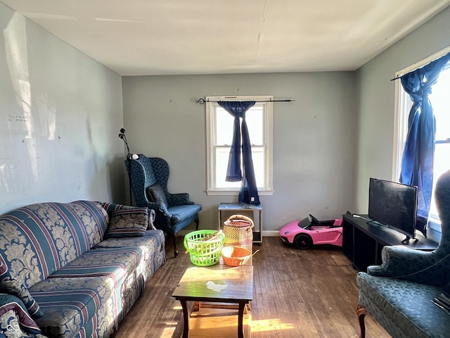 living room featuring dark wood-type flooring