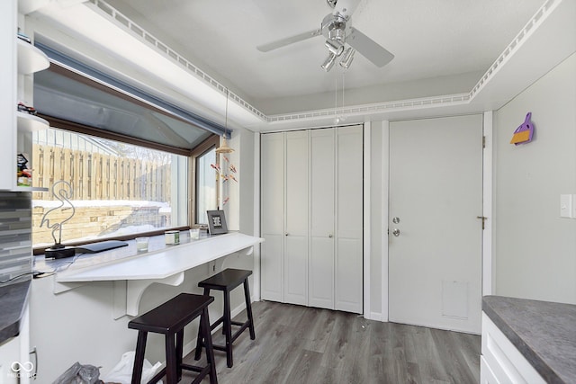 interior space with hardwood / wood-style floors and ceiling fan