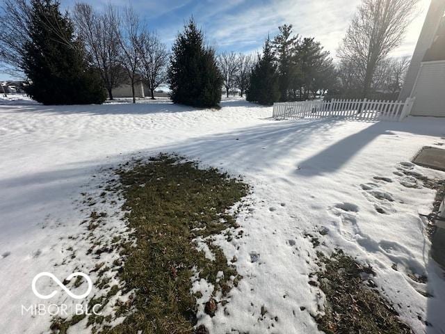 view of yard covered in snow