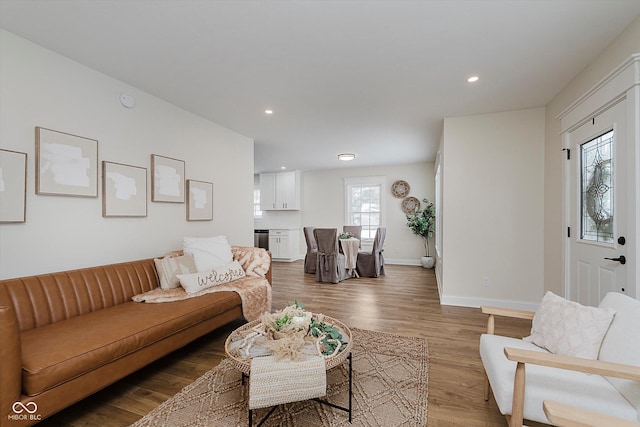 living room with dark wood-type flooring