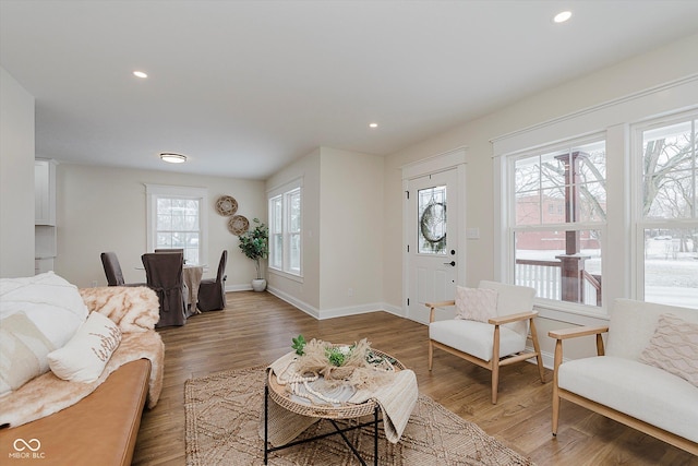 living room with hardwood / wood-style flooring