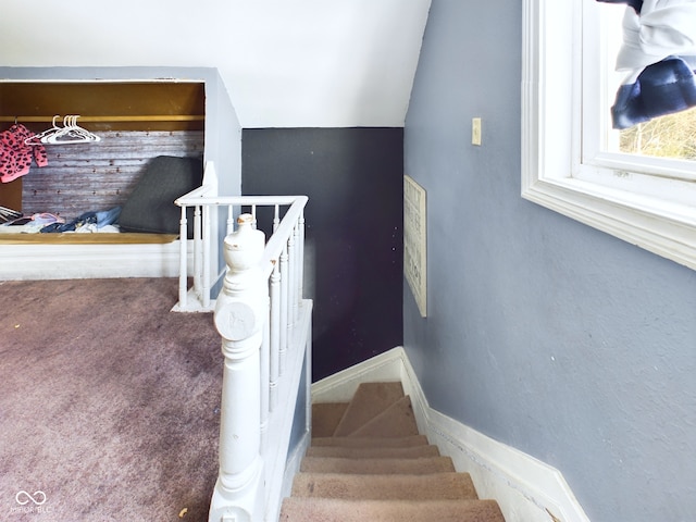 stairway featuring carpet flooring