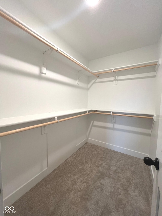 walk in closet featuring dark colored carpet