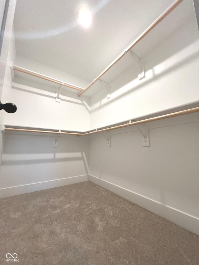 spacious closet featuring carpet