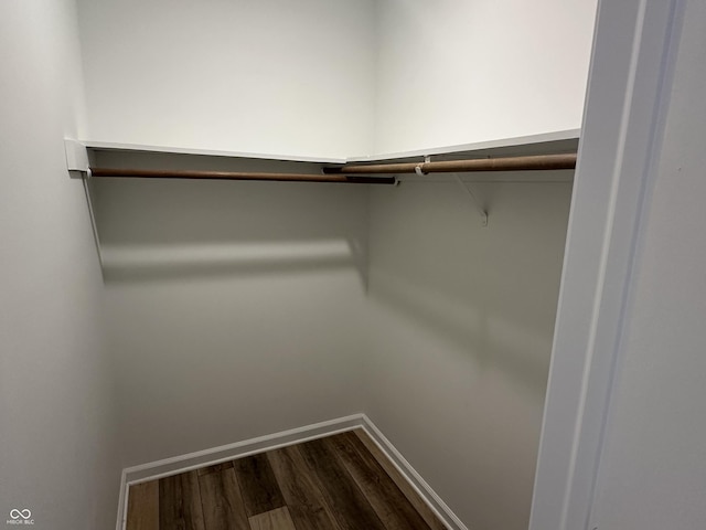 spacious closet with hardwood / wood-style floors