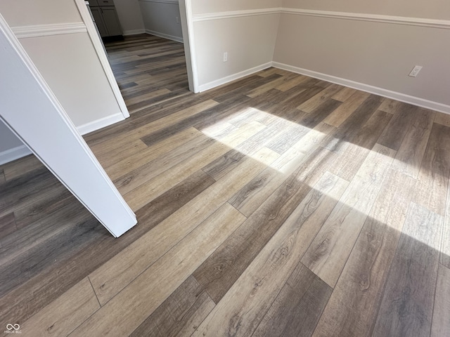 room details with hardwood / wood-style flooring