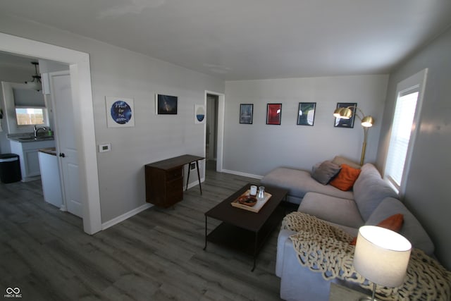 living room featuring sink and dark hardwood / wood-style floors