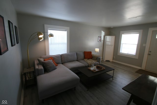 living room with hardwood / wood-style floors