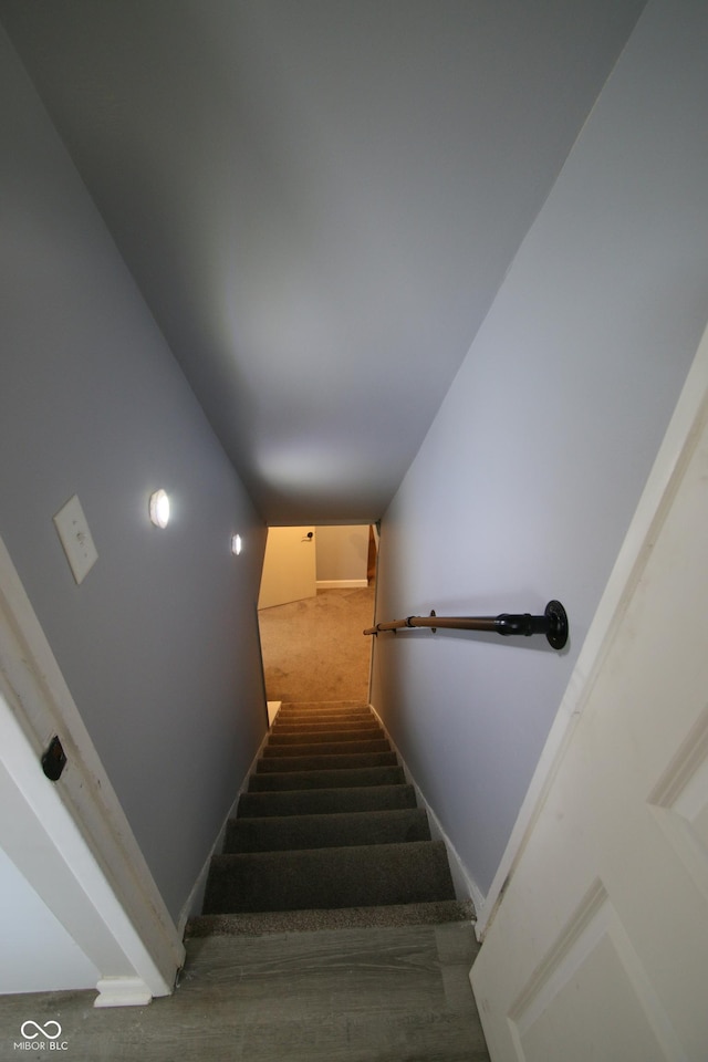 staircase featuring carpet