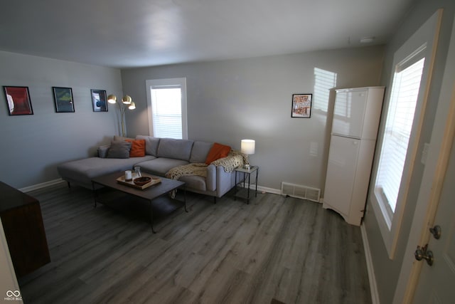 living room featuring plenty of natural light and hardwood / wood-style floors