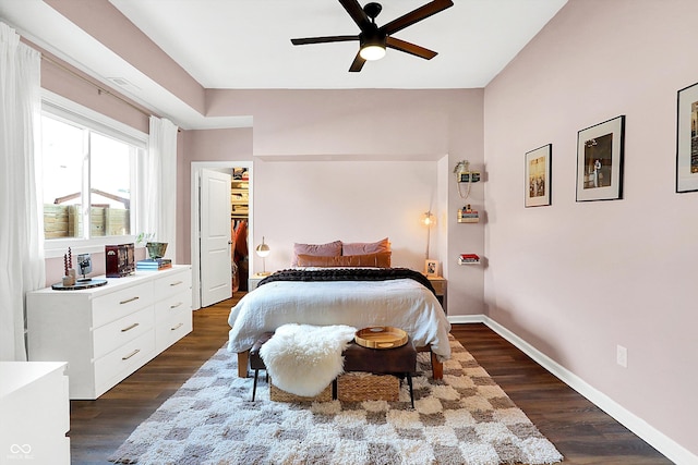 bedroom with ceiling fan, dark hardwood / wood-style floors, and a spacious closet