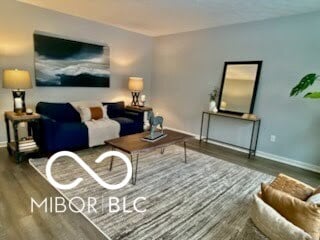 living room featuring dark hardwood / wood-style flooring