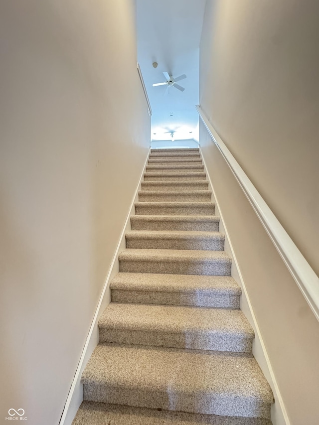 staircase featuring carpet and ceiling fan