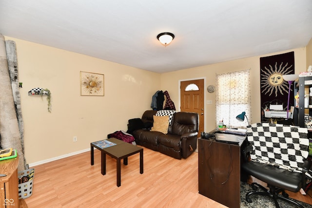 living room with light hardwood / wood-style flooring