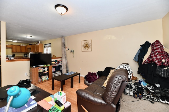 living room with light hardwood / wood-style floors