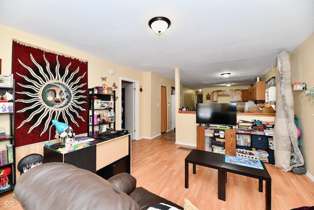 living room featuring light hardwood / wood-style floors