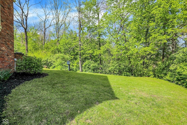 8602 Frontgate Ln, Indianapolis, IN 46256 - view of green lawn