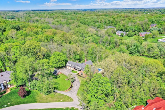 8602 Frontgate Ln, Indianapolis, IN 46256 - aerial view of a forest
