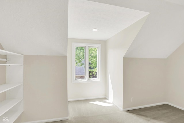 8602 Frontgate Ln, Indianapolis, IN 46256 - bonus room featuring vaulted ceiling, baseboards, carpet floors, and a textured ceiling