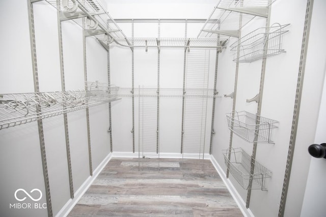 walk in closet with light wood-type flooring