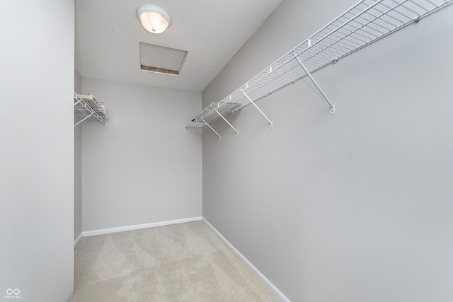 walk in closet featuring light colored carpet