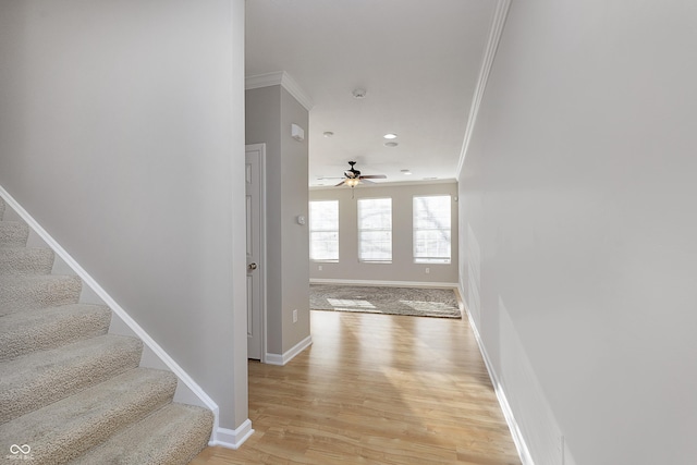 hall with crown molding and light hardwood / wood-style floors