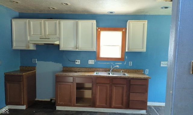 837 S Warman Ave S, Indianapolis, IN 46221 - kitchen with under cabinet range hood and a sink