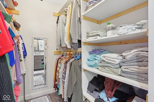 spacious closet featuring dark hardwood / wood-style flooring