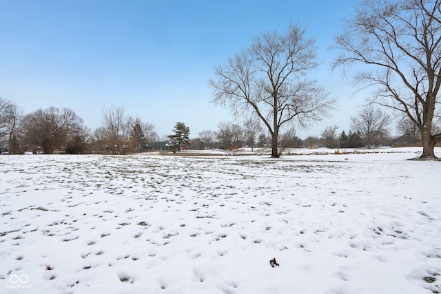 view of yard covered in snow