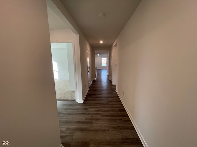 hall featuring dark wood-type flooring